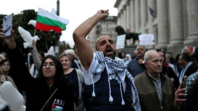 تظاهرات در هلند، بلغارستان، مراکش و تونس در حمایت از فلسطین