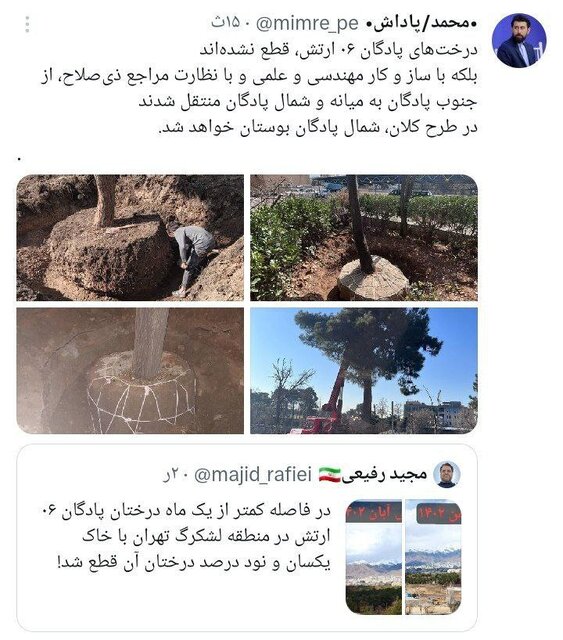 ماجرای درختان پادگان  ۰۶ ارتش چه بود؟