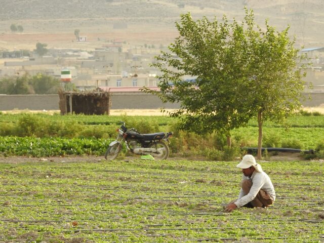 از معادن موجود در روستاها خدمات و عوارضی عاید روستاییان نمی‌شود
