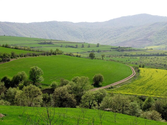 دریافت ۱۸۰۰ سند مالکیت برای اراضی ملی نهاوند دریافت ۱۸۰۰ سند مالکیت برای اراضی ملی نهاوند